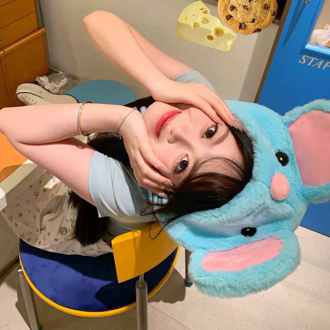 人生马戏团粤语